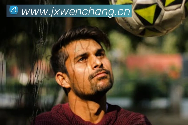 多媒体互动体验